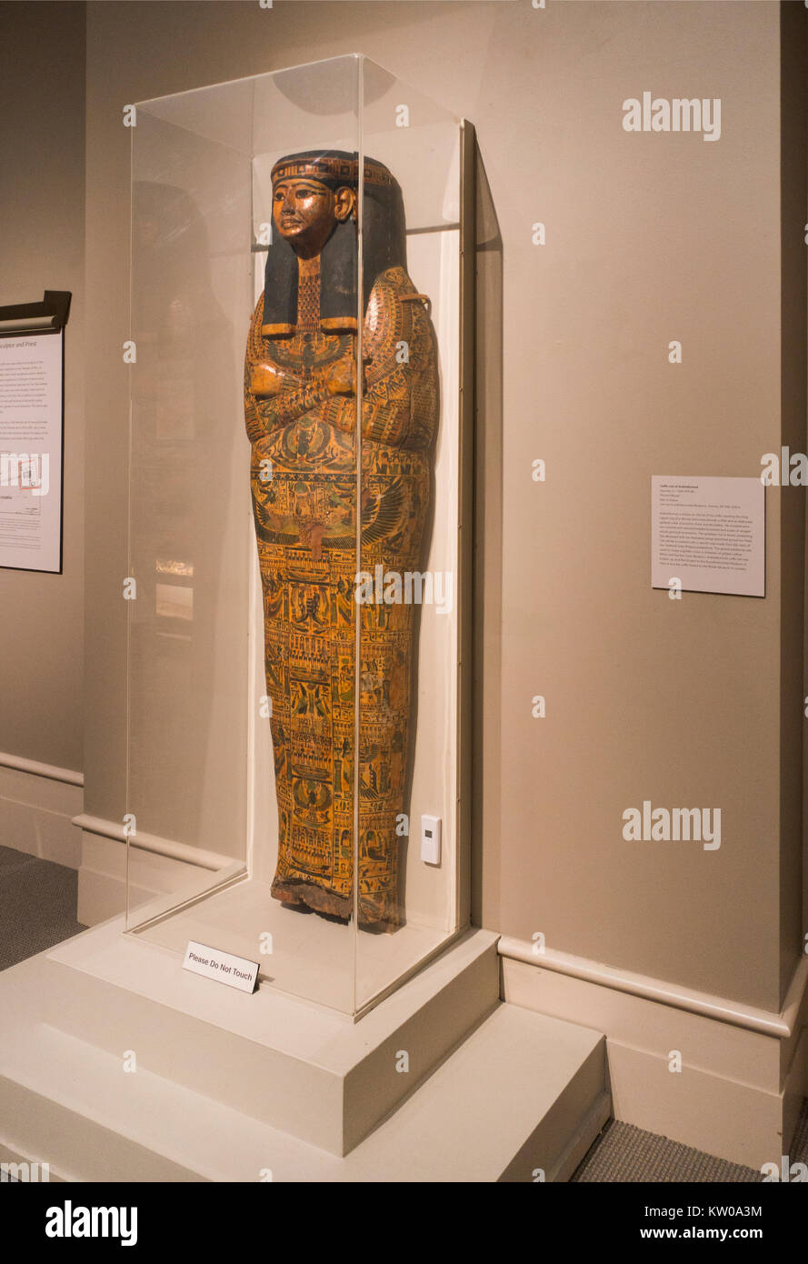 Albany institute of History and art NY Stock Photo Alamy