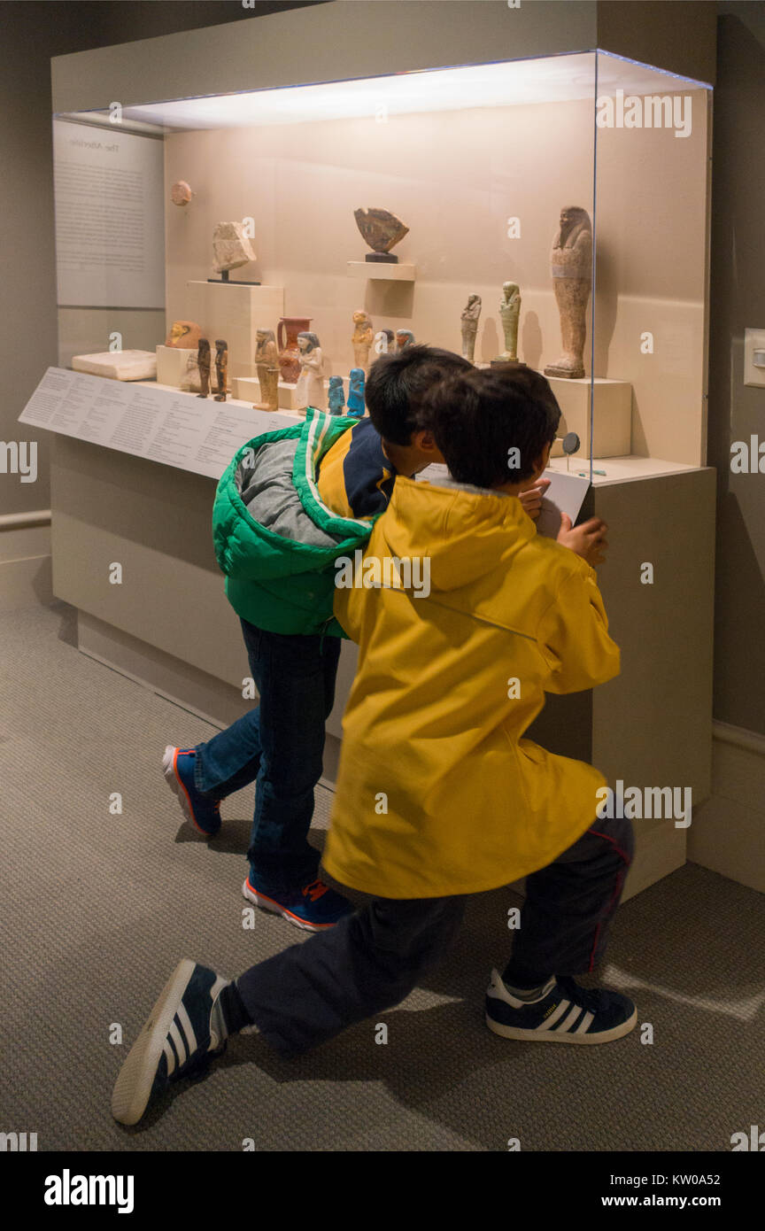 Albany institute of History and art NY Stock Photo Alamy