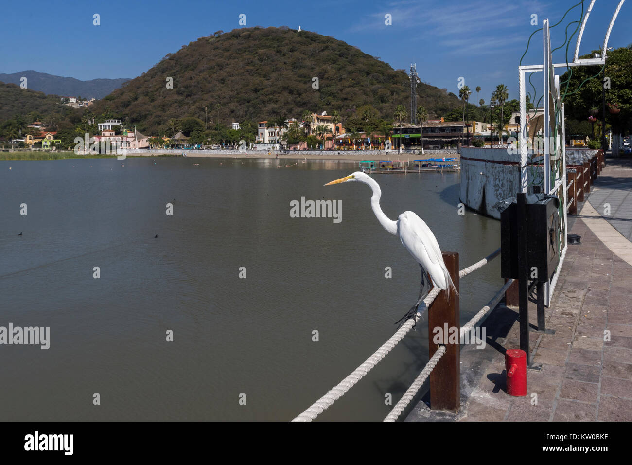 Chapala Pier with Giant egret, Lake Chapala, Chapala, Jalisco, Mexico