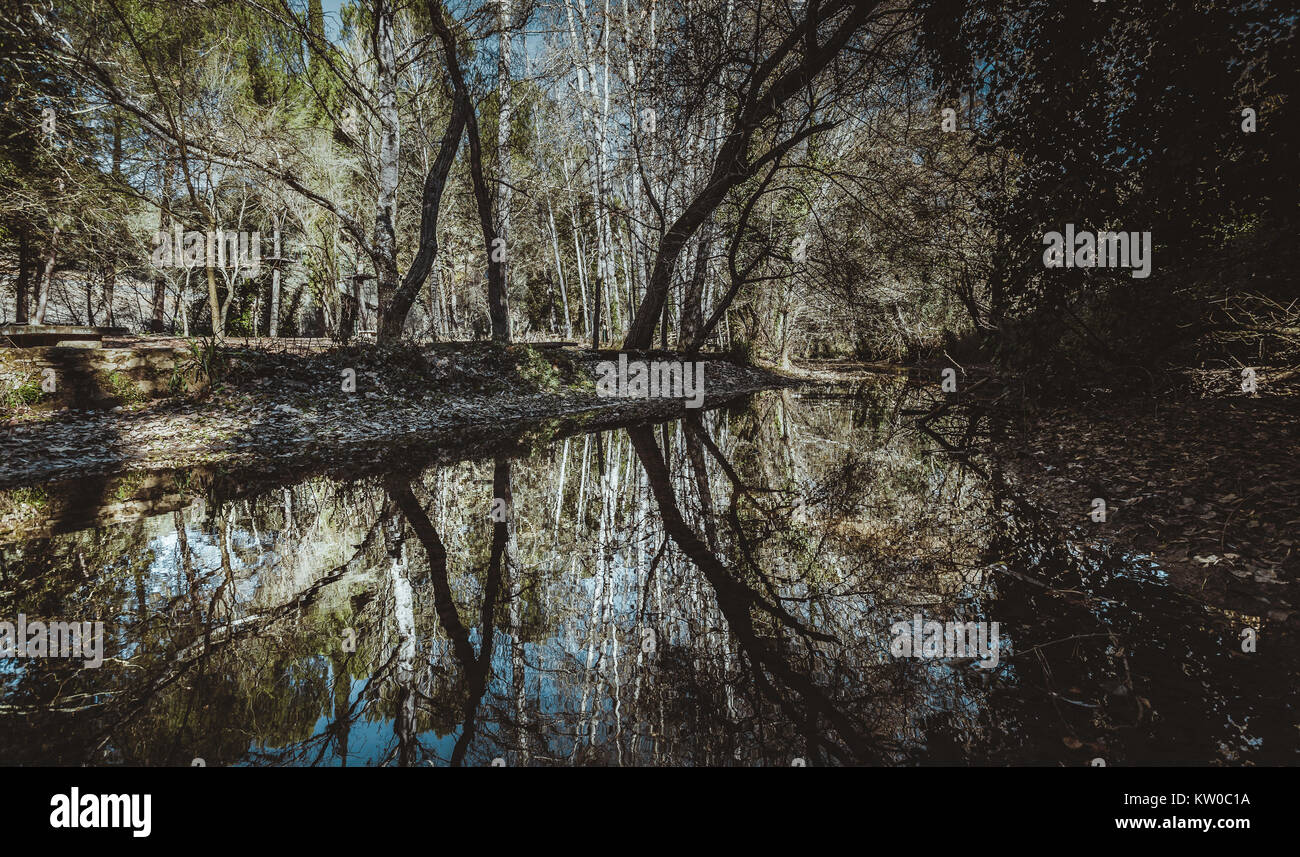 Reflections of trees in the water Stock Photo - Alamy