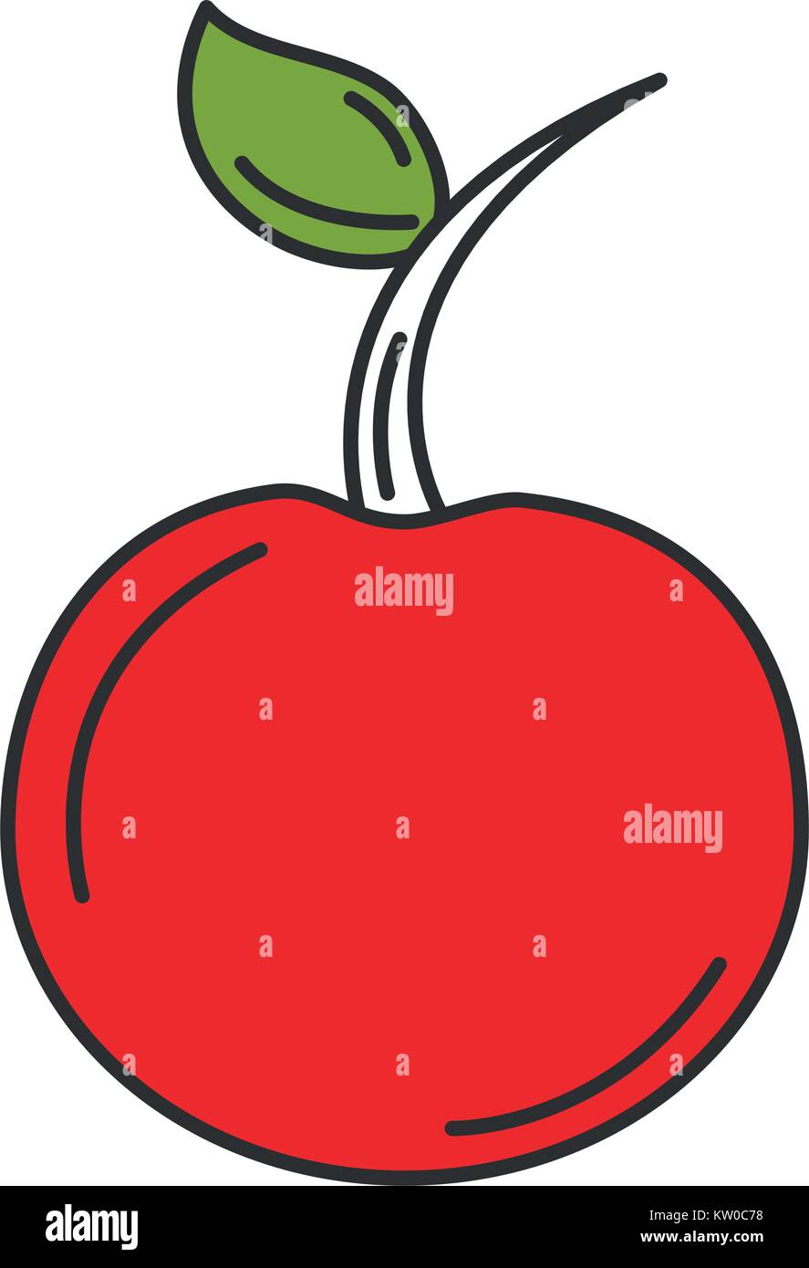 cherry fruit isolated icon Stock Vector Image & Art - Alamy