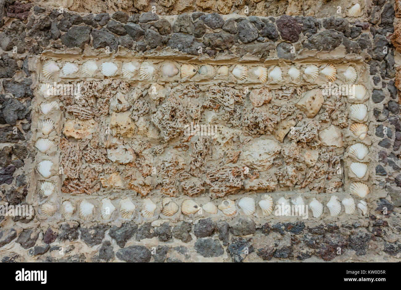 Composition With Shells geometric composition with shells and marine sponges Stock Photo - Alamy