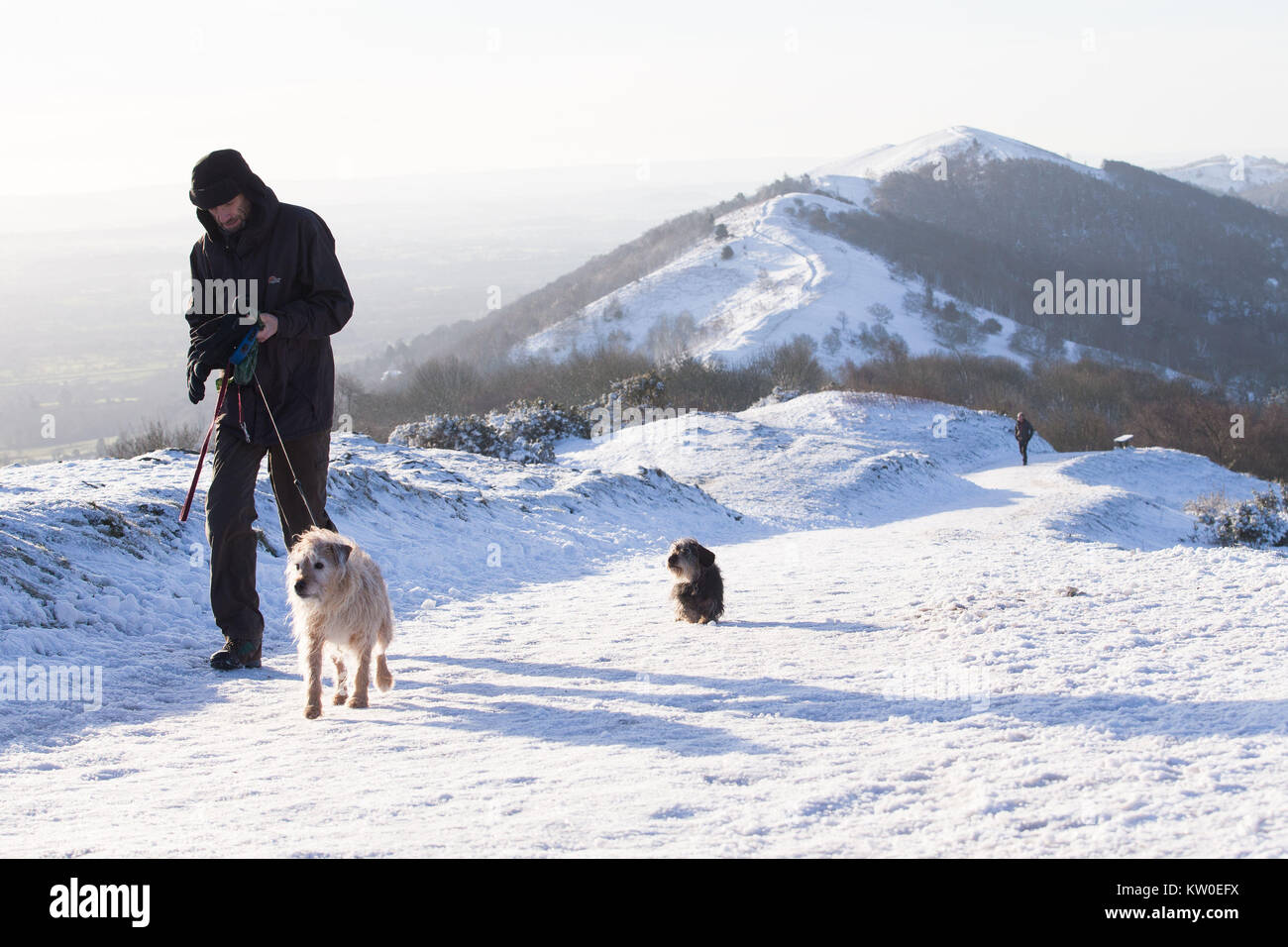 A dog walker in the Malvern Hills in Worcestershire, as plunging