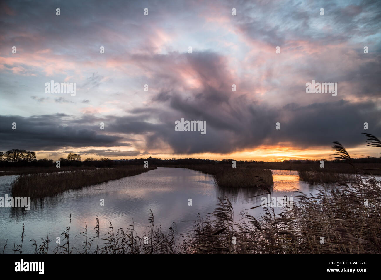 Evening light over Shapwick Heath National Nature Reserve in Somerset, UK. Stock Photo