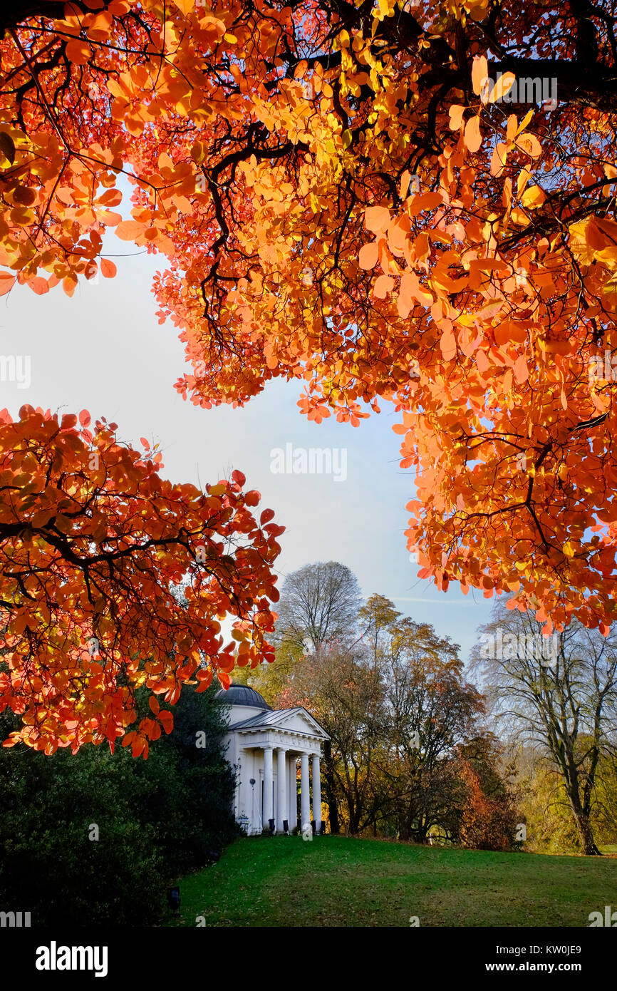 Europe, UK, England, London, Kew Gardens Bellona autumn Stock Photo