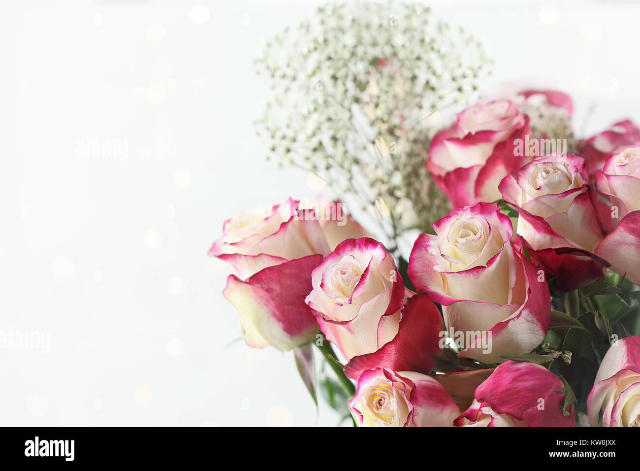 Beautiful bouquet of  red and white roses with baby's breath. Selective focus with shallow depth of field. Stock Photo