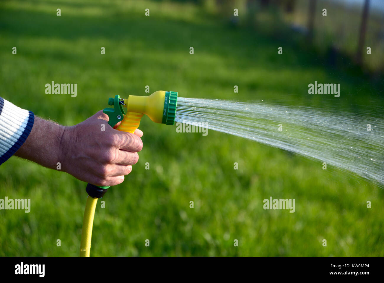 Hand holding a hose for watering with the sprayed stream Stock Photo