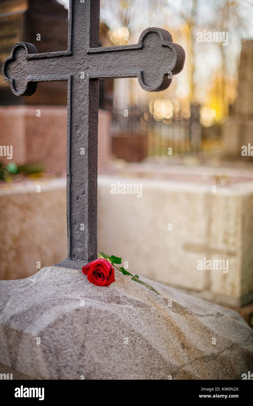 Rose on ancient tombstone. Graveyard landscape with selective focus
