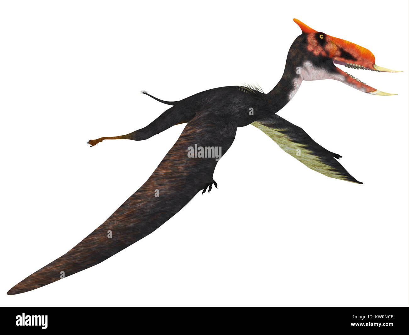Pterosaur hi-res stock photography and images - Alamy