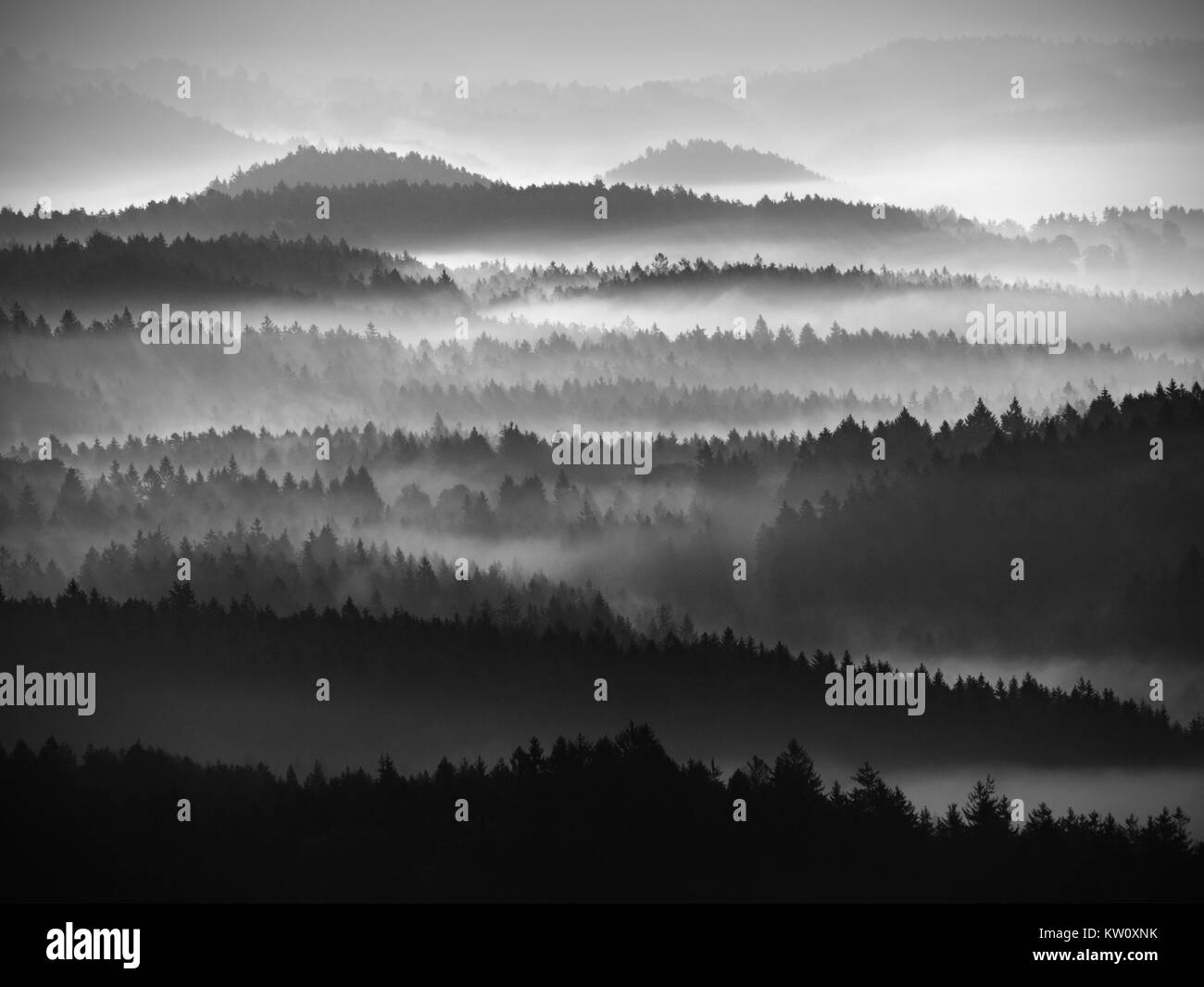 Fog mist dawn from Black and White Stock Photos & Images - Alamy
