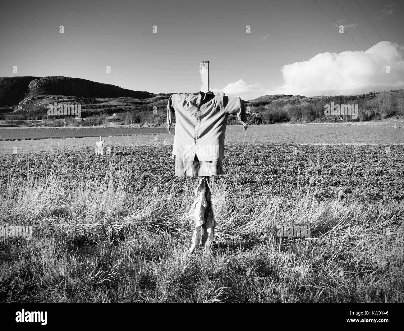 Scarecrow made of old clothes in strawberry field. Blue shirt and brown skirt Scarecrow on wooden cross Stock Photo