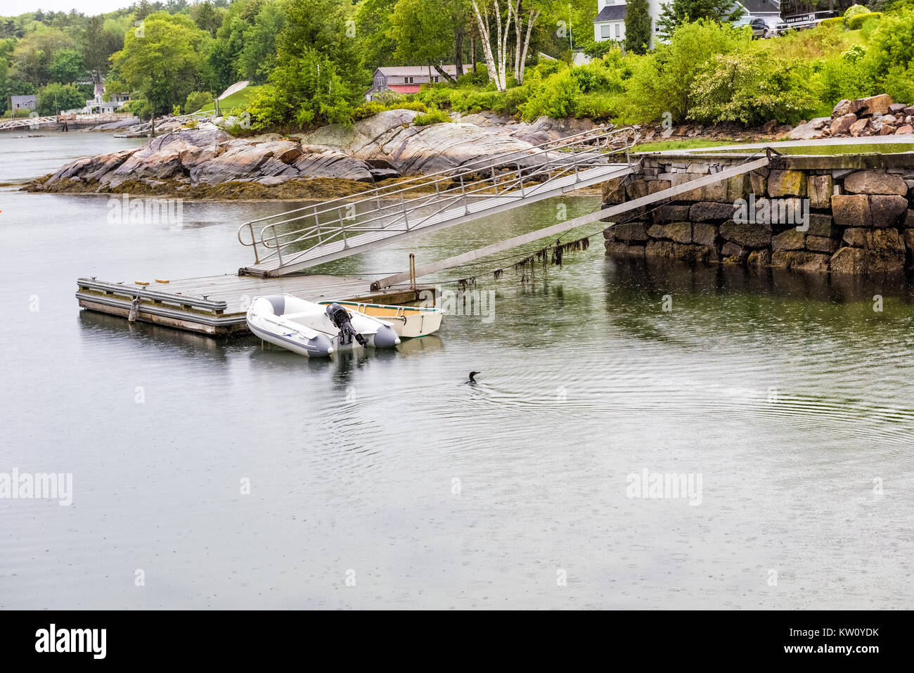 Rockport, USA - June 9, 2017: Empty marina harbor in small village in Maine during rain with boats and bird duck Stock Photo