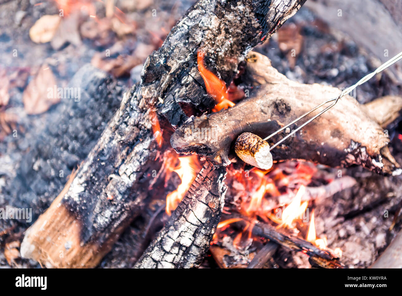 Closeup of one white marshmallow caramelizing on fire showing detail ...