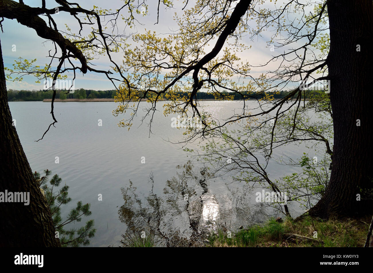 Biehlaer great pond hires stock photography and images Alamy