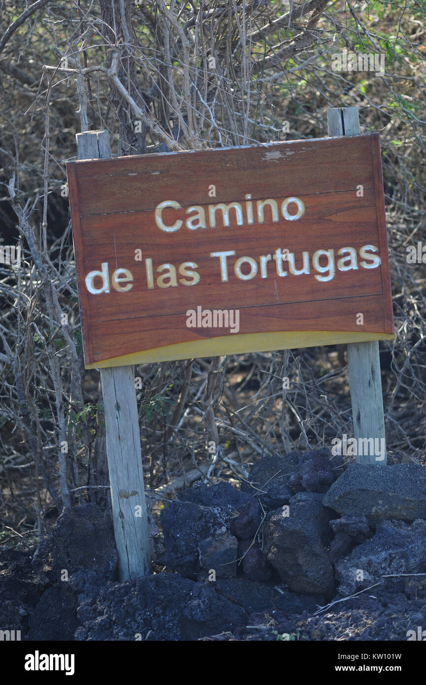Sign saying ‘Camino de las Tortugas’, The Path of the Tortoises. Puerto Villamil, Isabela, Galapagos, Ecuador Stock Photo