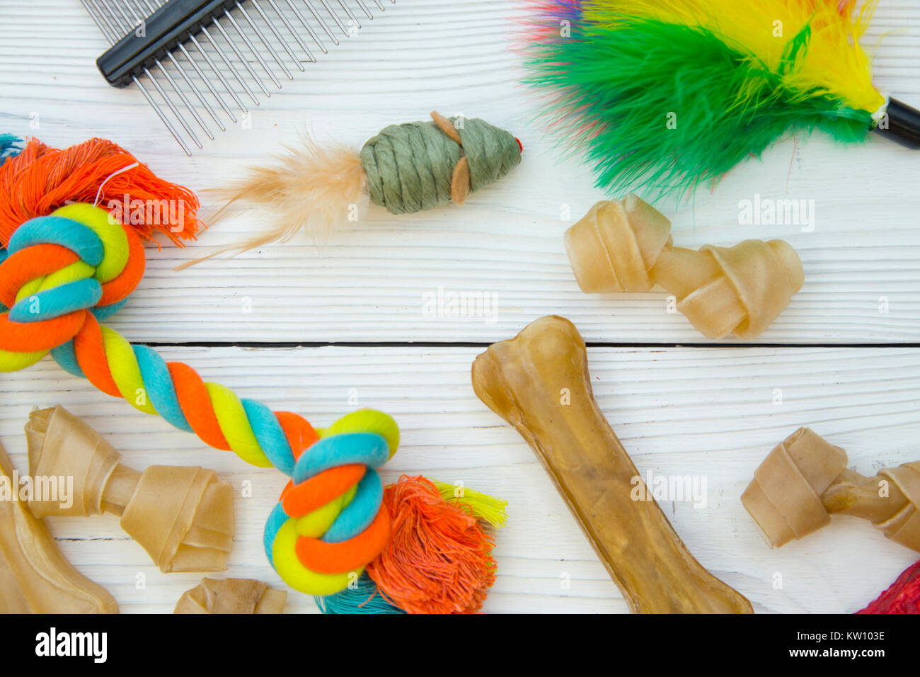 Pet care, veterinary concept. Colorful toys twisted rope bone and