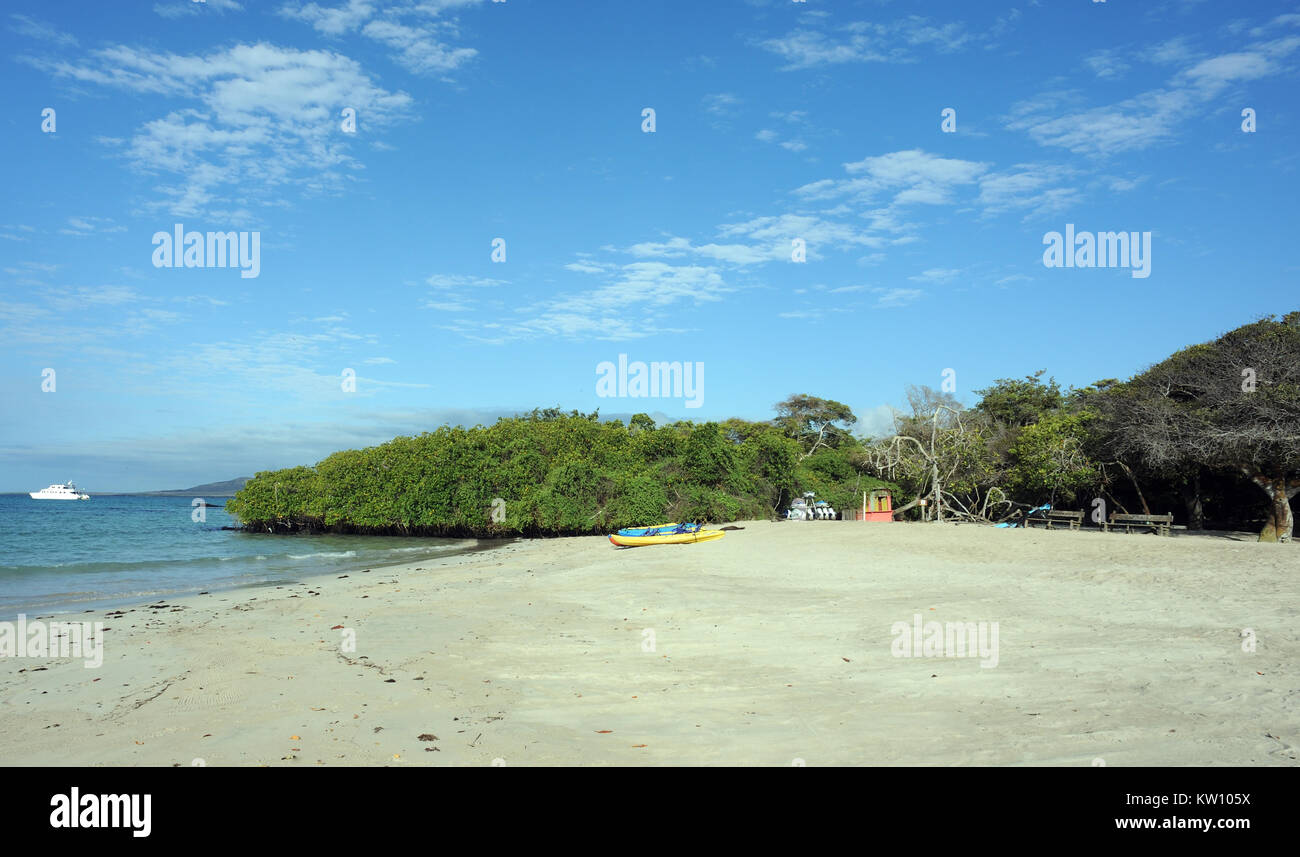 Kayaks for tourists’ use are ready on the white sandy beach. Playa Isabela, Puerto Villamil, Isabela, Galapagos, Ecuador Stock Photo