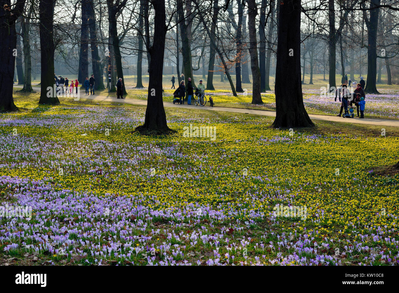 Dresden Spring In The Big Garden Fruhling Im Grossen Garten Stock