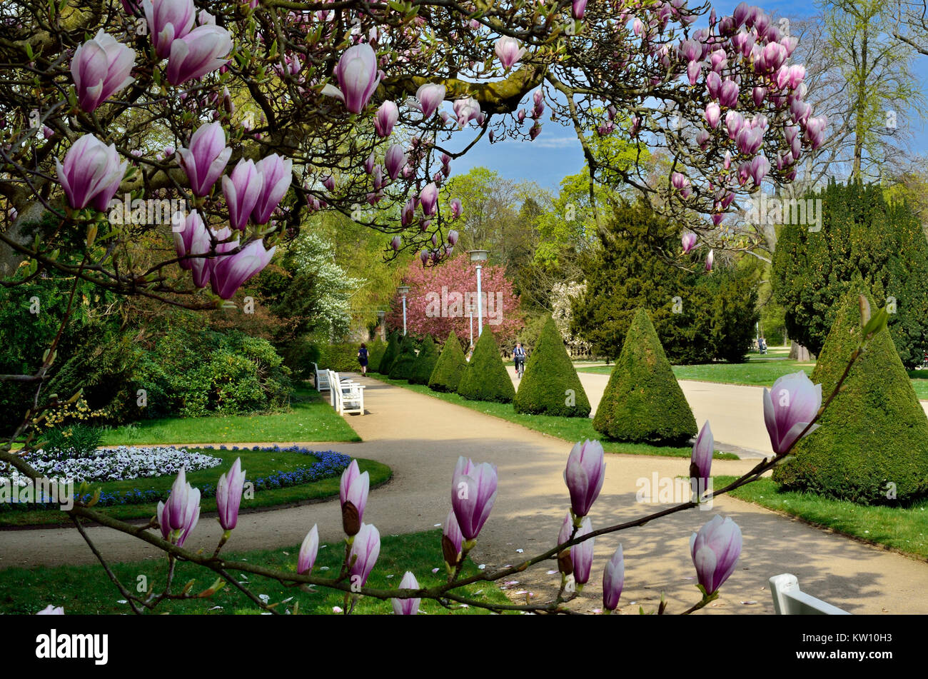 Dresden Spring In The Big Garden Fruhling Im Grossen Garten Stock