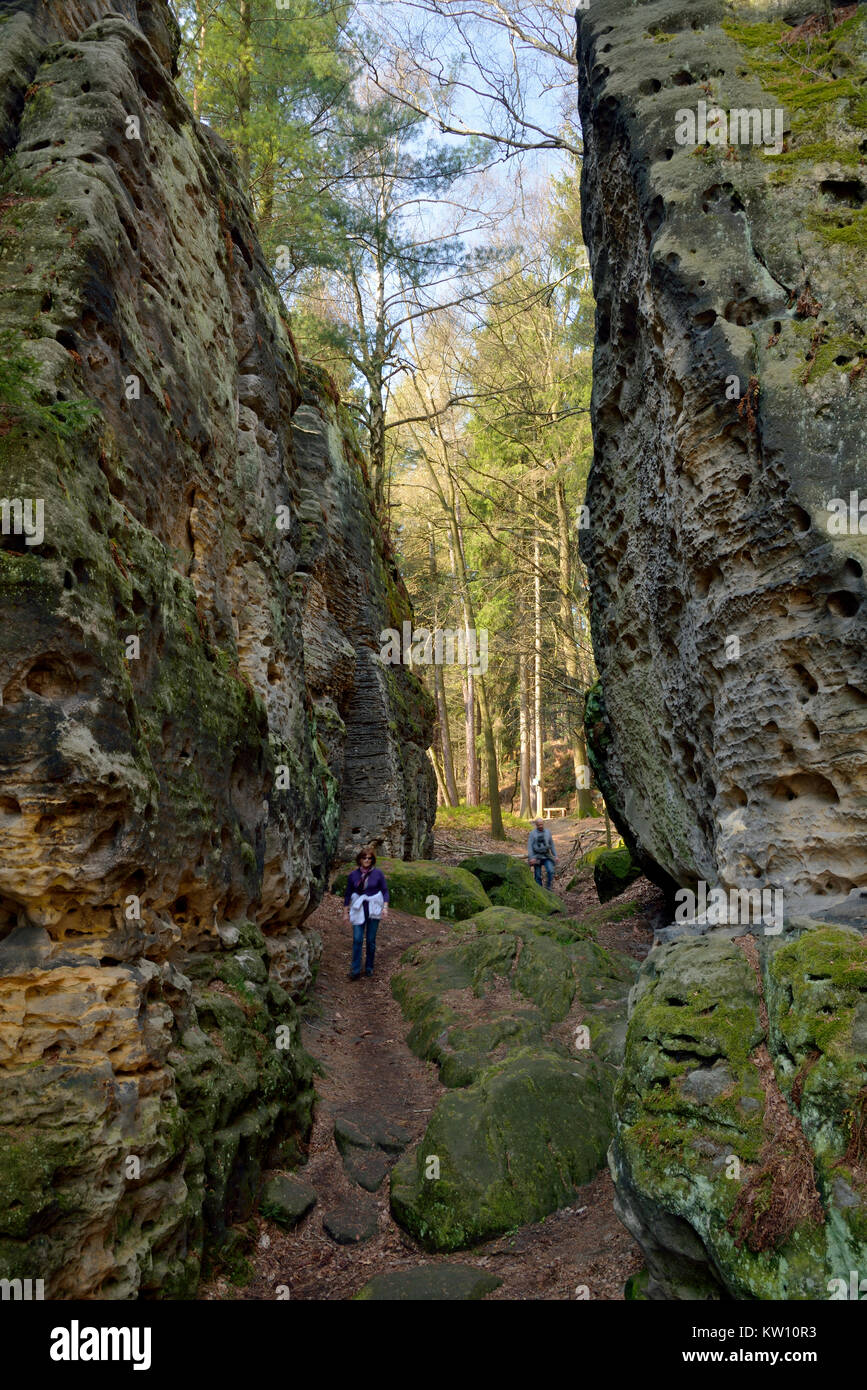 Elbsandsteingebirge, Saxon Switzerland, access to the small bear's stone, Sächsische Schweiz, Zugang zum Kleinen Bärenstein Stock Photo