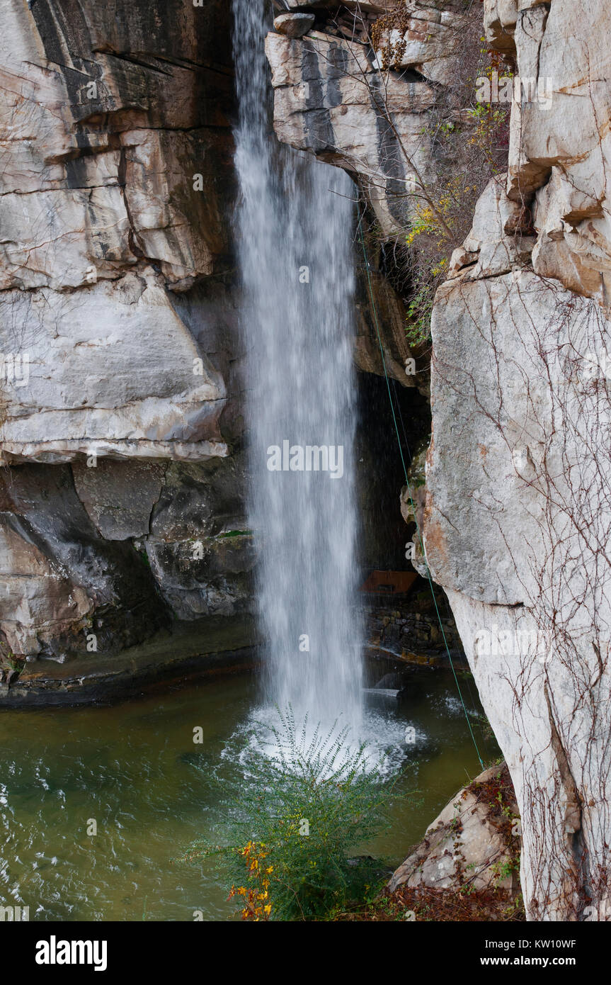 Are Dogs Allowed At Rock City