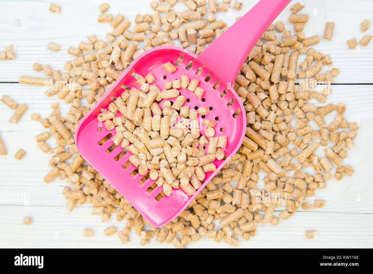 Pet care concept. A pink litter scoop with litter filler for rodents