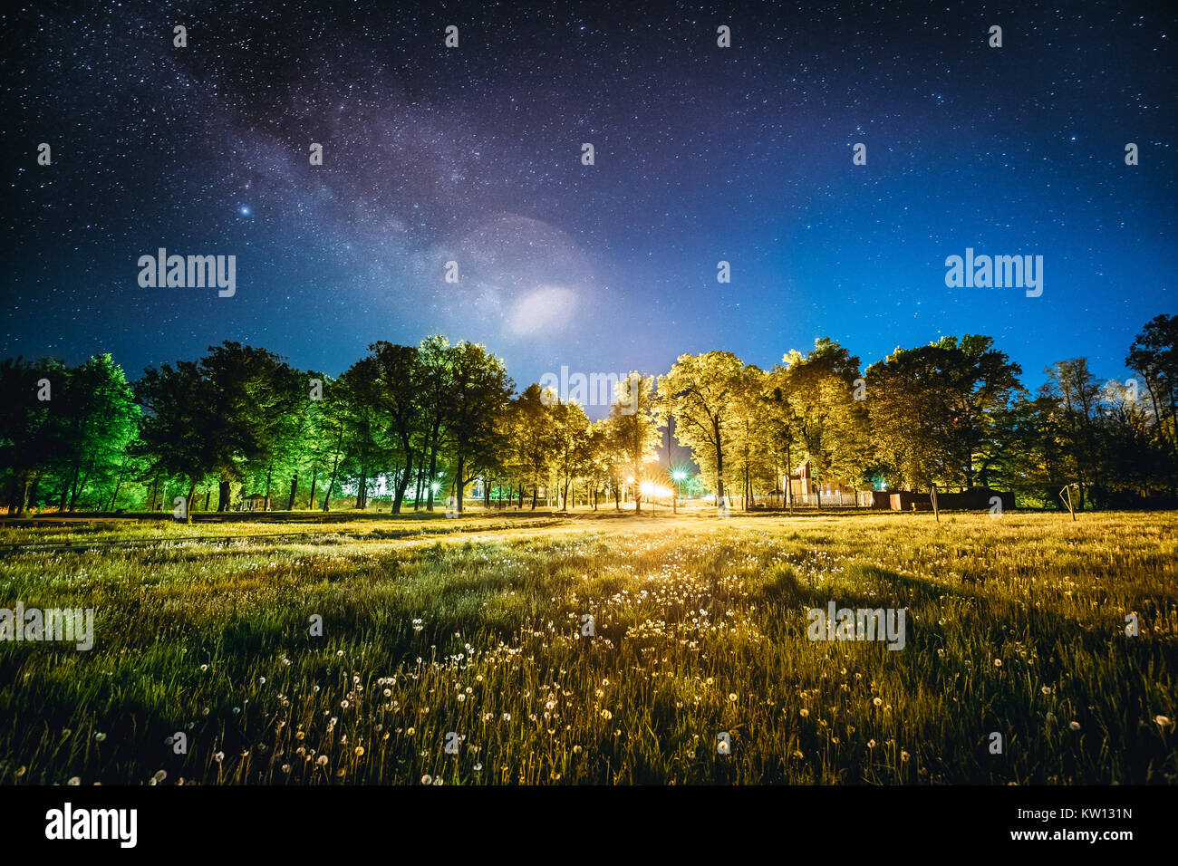 Green Trees Woods In Park Under Night Starry Sky. Night Landscape With Natural Real Glowing  Milky Way  Stars Over Meadow At Summer Season. View From  Stock Photo