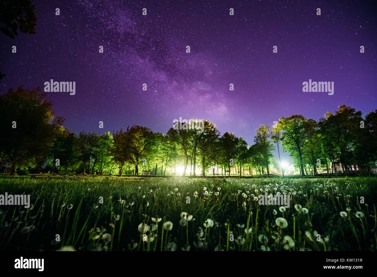 Green Trees Woods In Park Under Night Starry Sky In Violet Color. Landscape With Glowing  Milky Way Stars Over Meadow At Summer Season. View From East Stock Photo