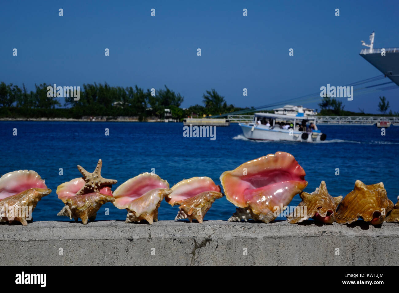 These beautiful Queen Conch shells are for sale along the quay in
