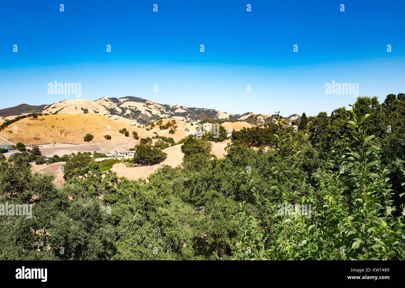 Mount Diablo and the Diablo foothills in the East Bay region of the San Francisco Bay Area on a sunny day, Alamo, California, 2016. Stock Photo