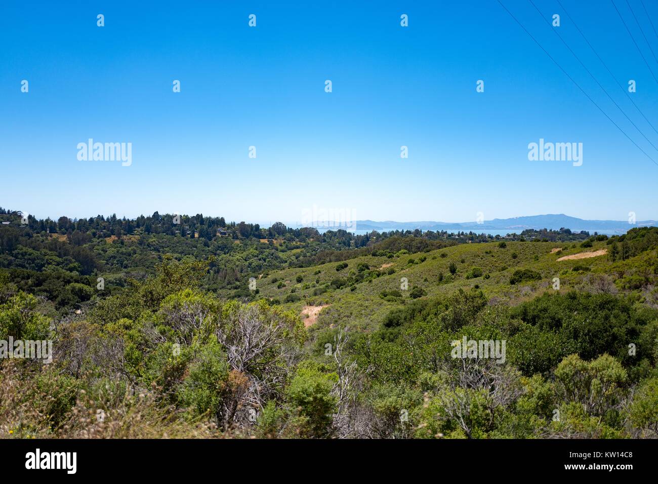 Berkeley hills, viewed from Nimitz Way in Tilden Regional Park, Berkeley, California, July, 2016. Stock Photo