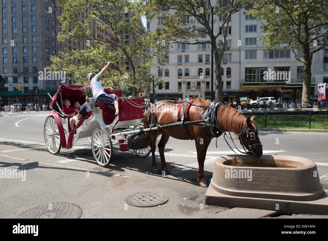 Communal water trough hi-res stock photography and images - Alamy