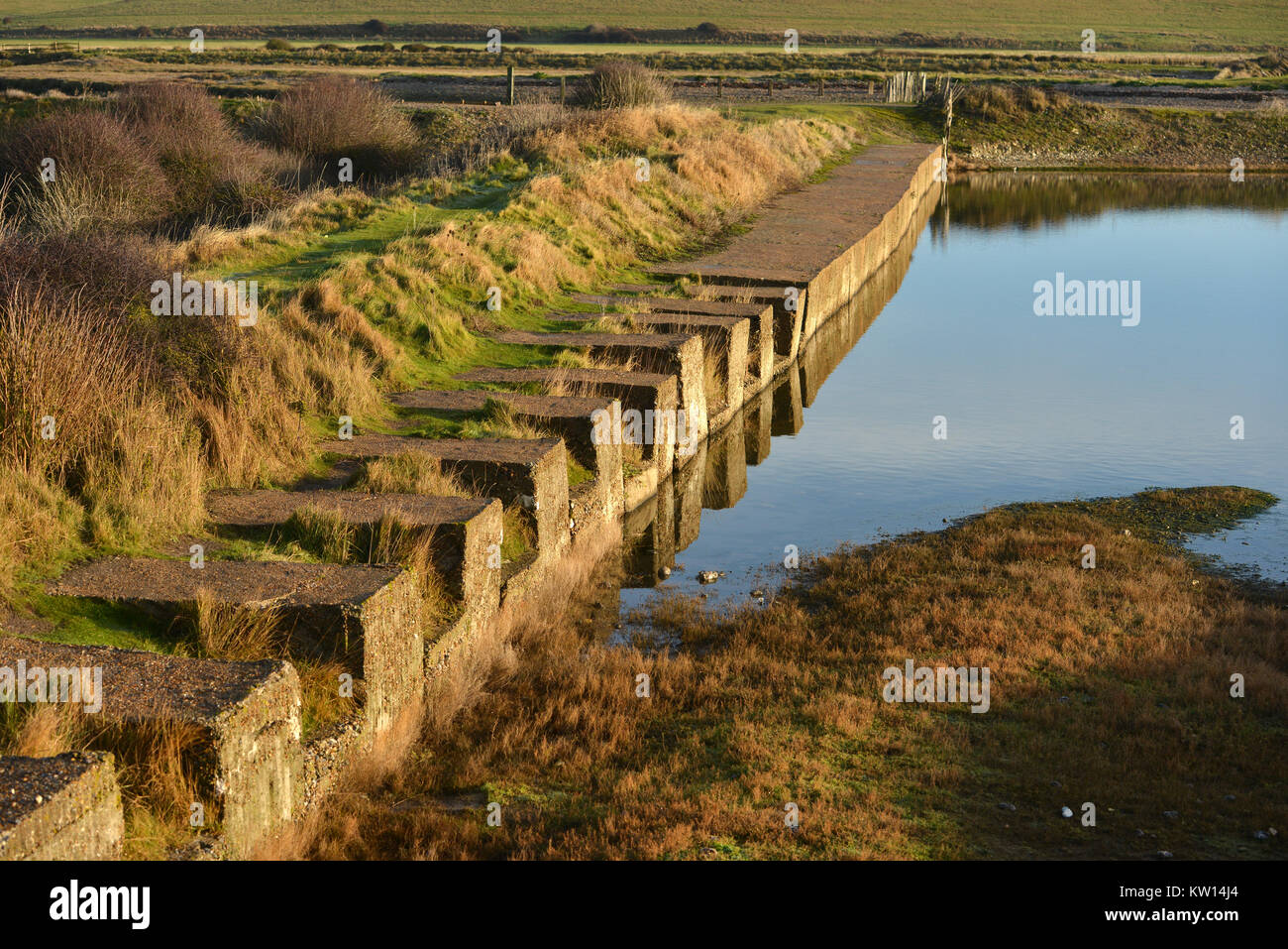 Remains of WWII tank traps - part of the coastal defenses along the south coast at Cuckmere Haven, East Sussex Stock Photo