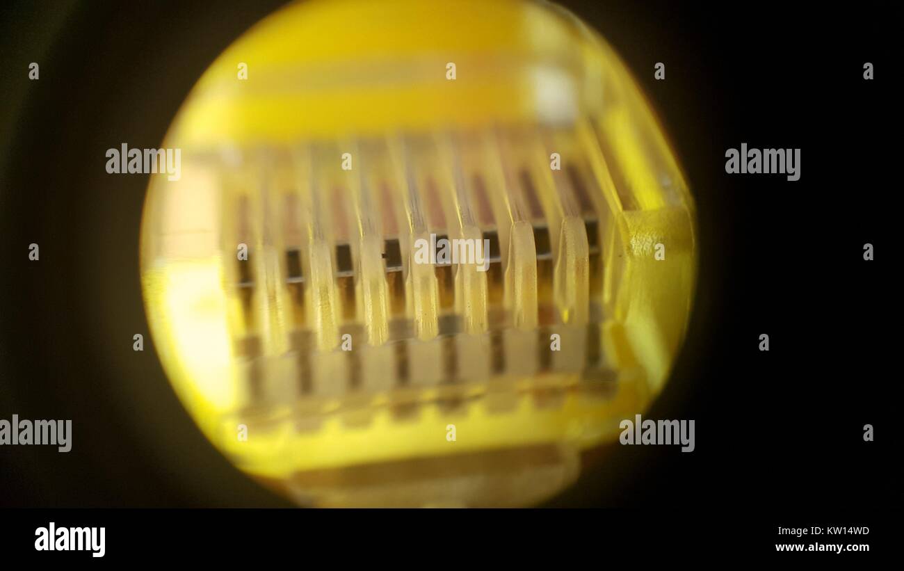 Light microscope image hires stock photography and images Alamy