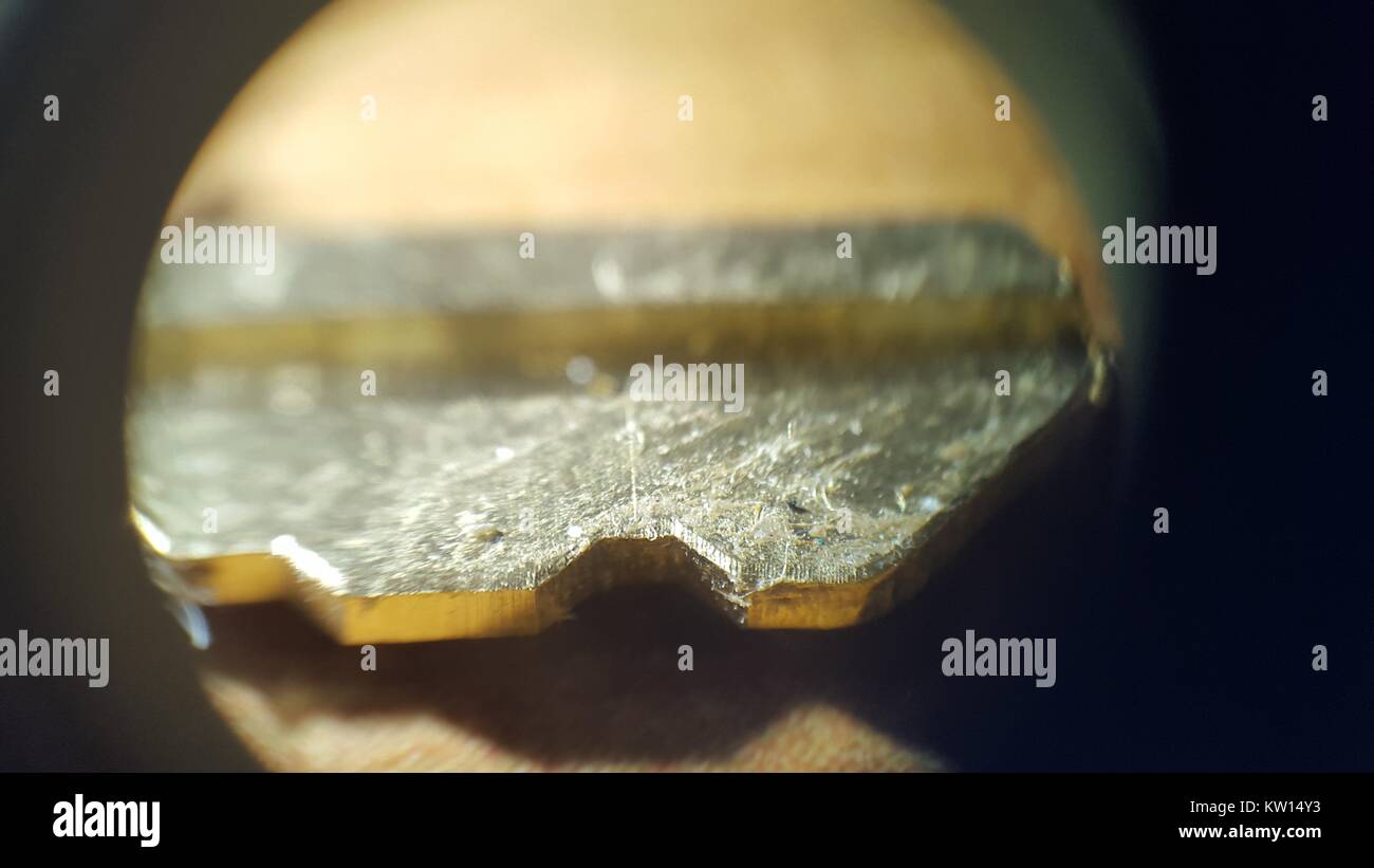 Light microscope image at approximately 30x magnification showing the