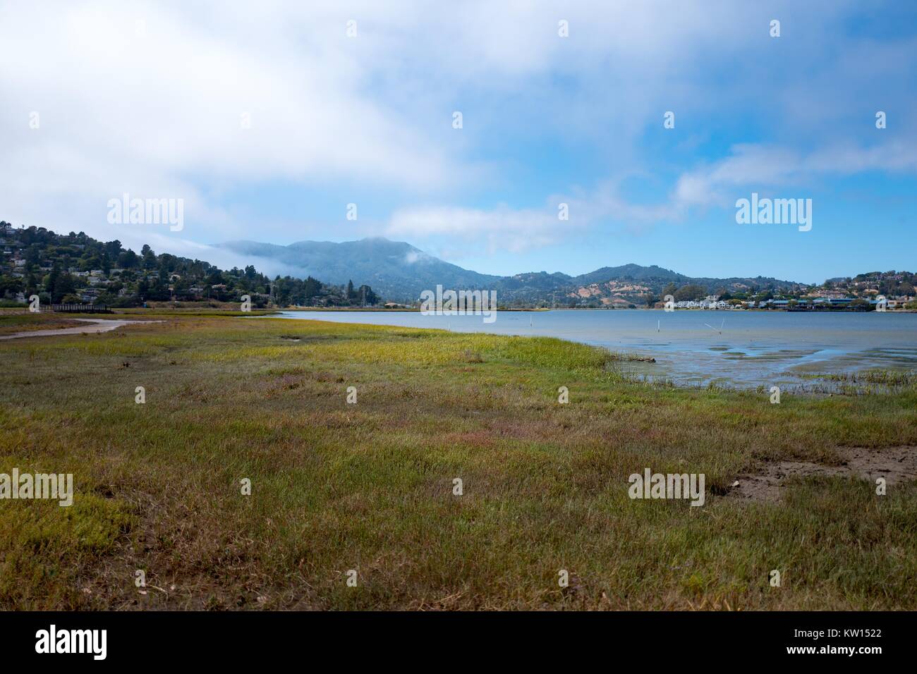 Richardson Bay wetland areas, with Mount Tamalpais visible in the background, Sausalito, California, July, 2016. Stock Photo