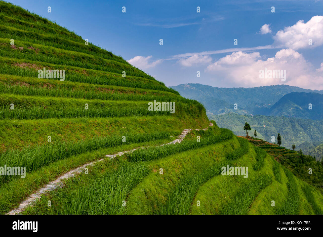 Beautiful view Longsheng Rice Terraces near the of the Dazhai village in the province of Guangxi, China; Concept for travel in China Stock Photo