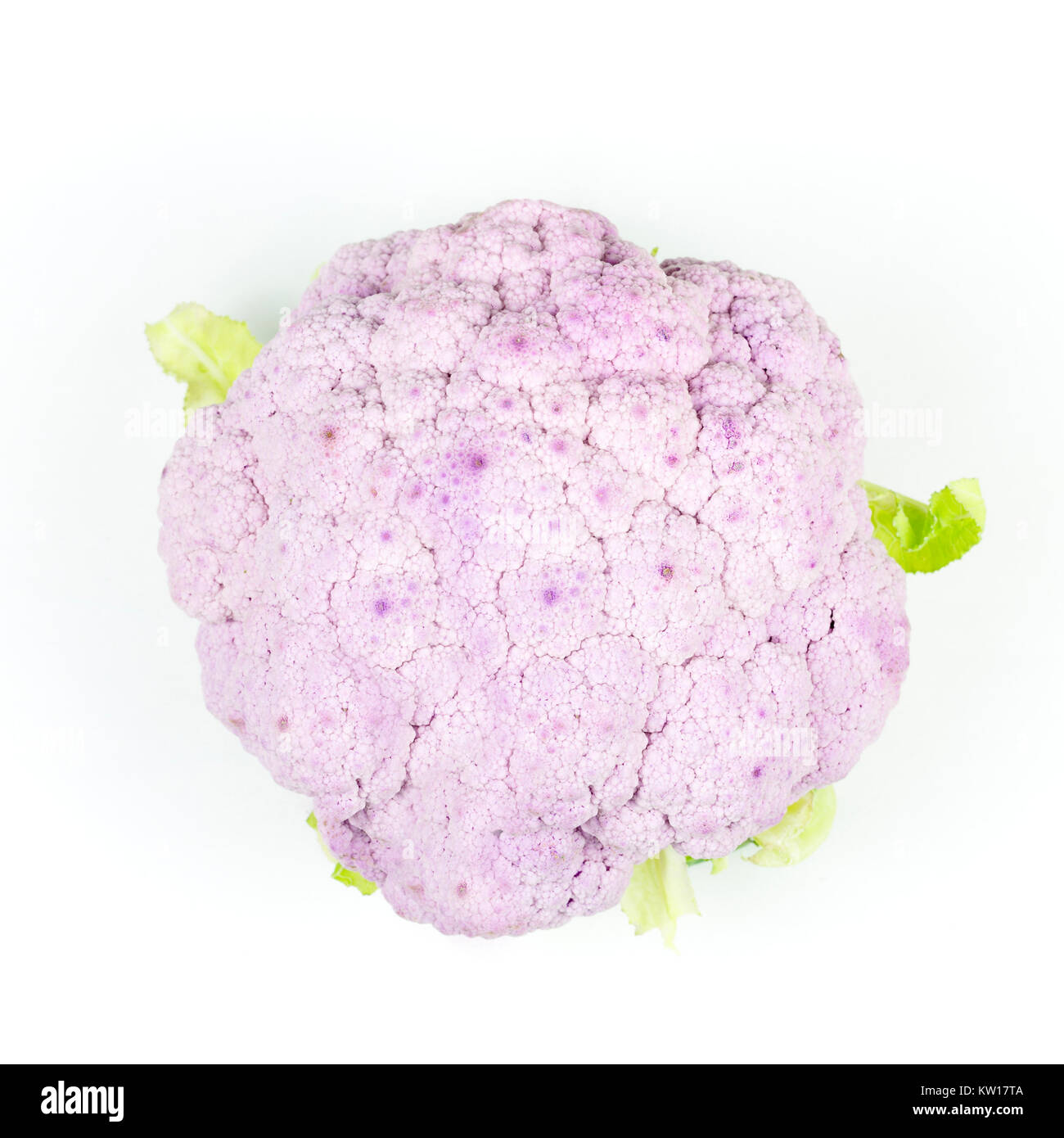 Sicilian purple broccoli on a white background Stock Photo
