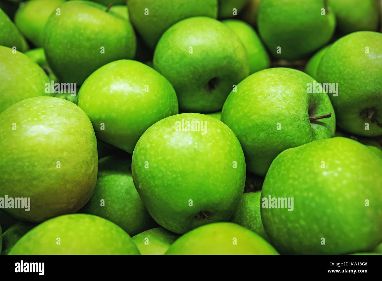 Ripe selected granny smith apples in rows at a grocery shop for sale