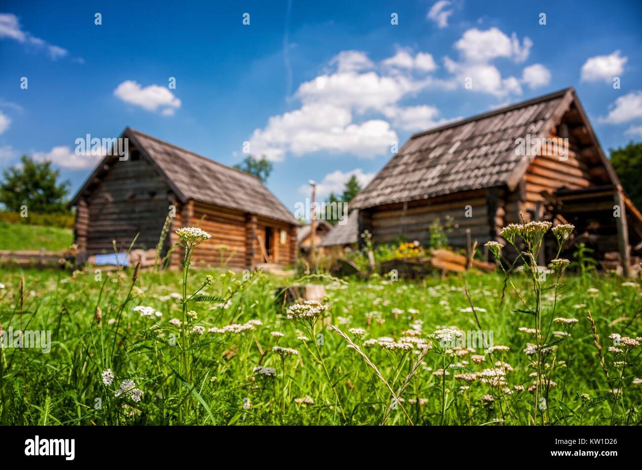 Cottage houses in Archeological Reserve Zawodzie, Kalisz, Greater
