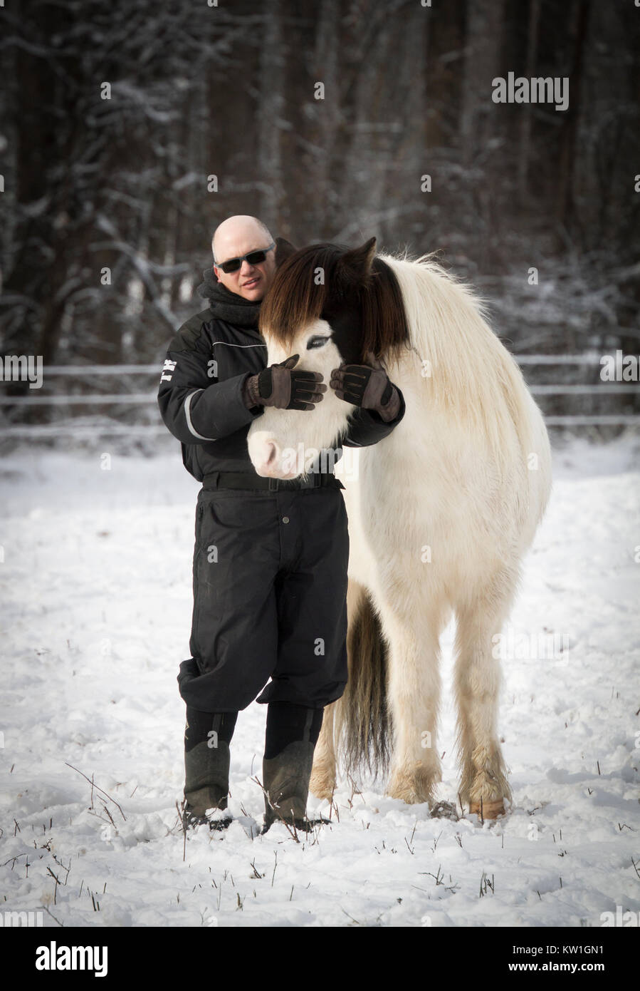 A man hugs a pinto Iceland horse on a winter day Stock Photo