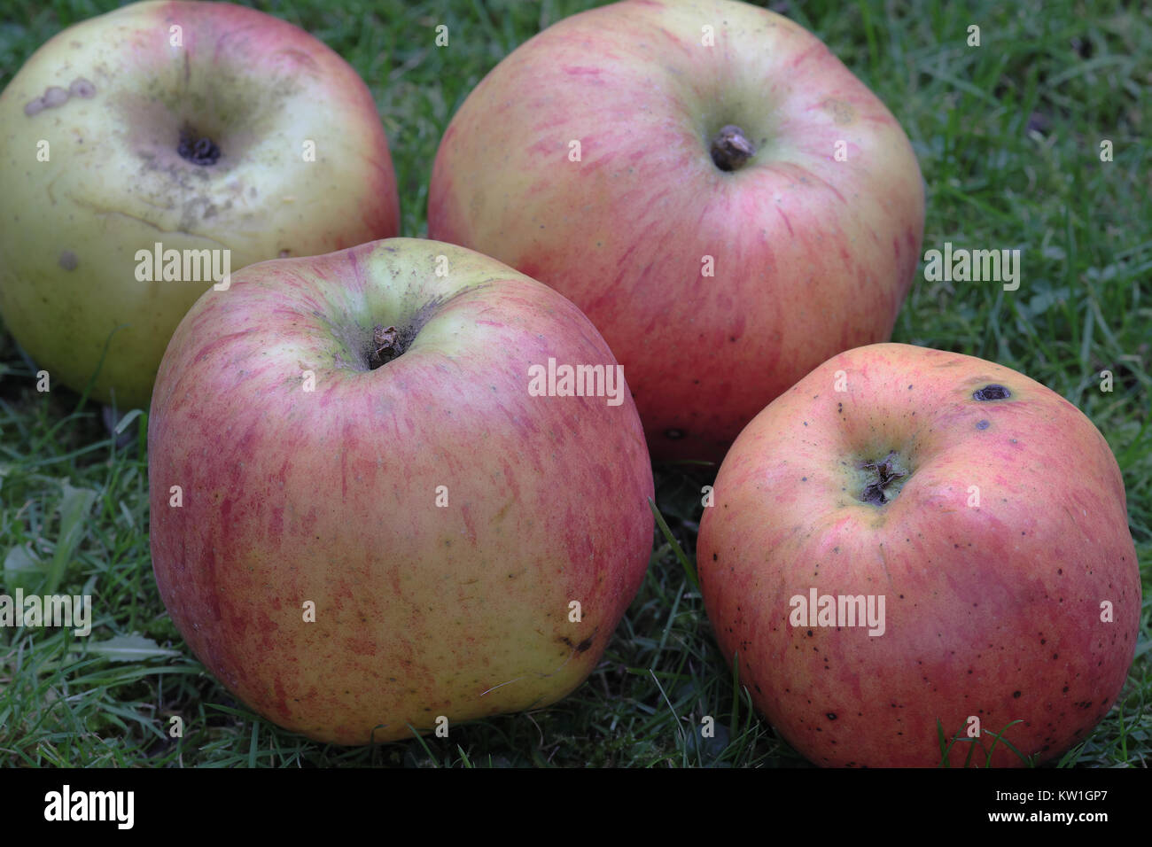 John Henniker High Resolution Stock Photography and Images Alamy