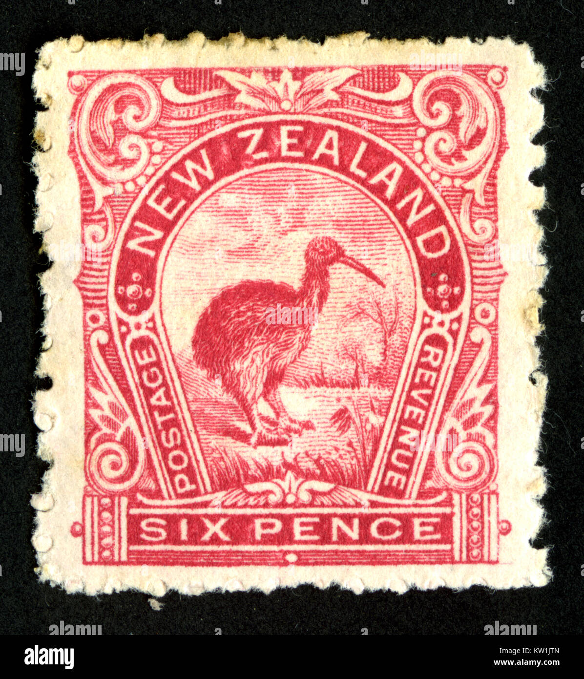 1900 New Zealand 6 pence pictorial stamp featuring a kiwi Stock Photo