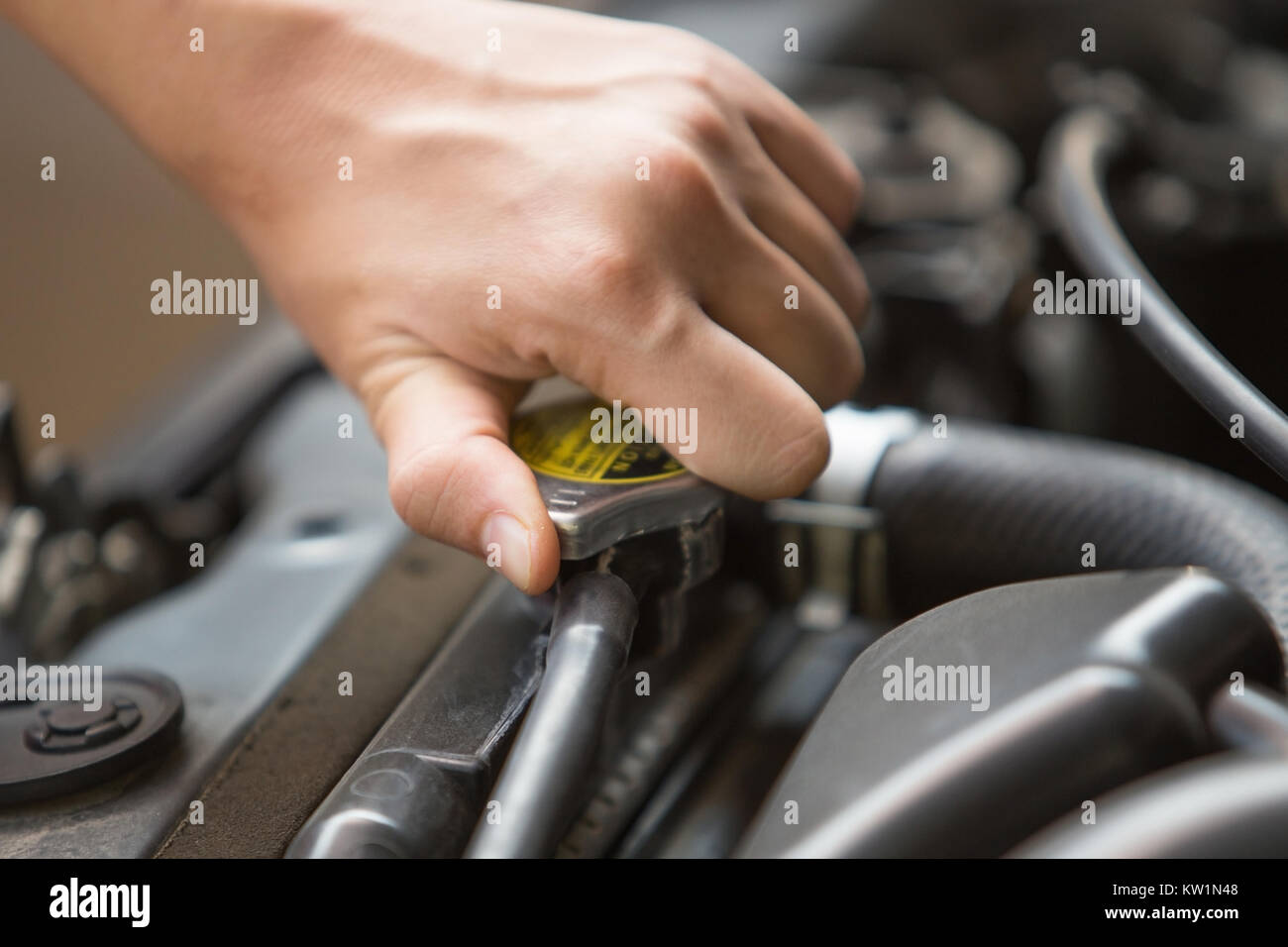 radiator pressure cap of car's engine Stock Photo Alamy