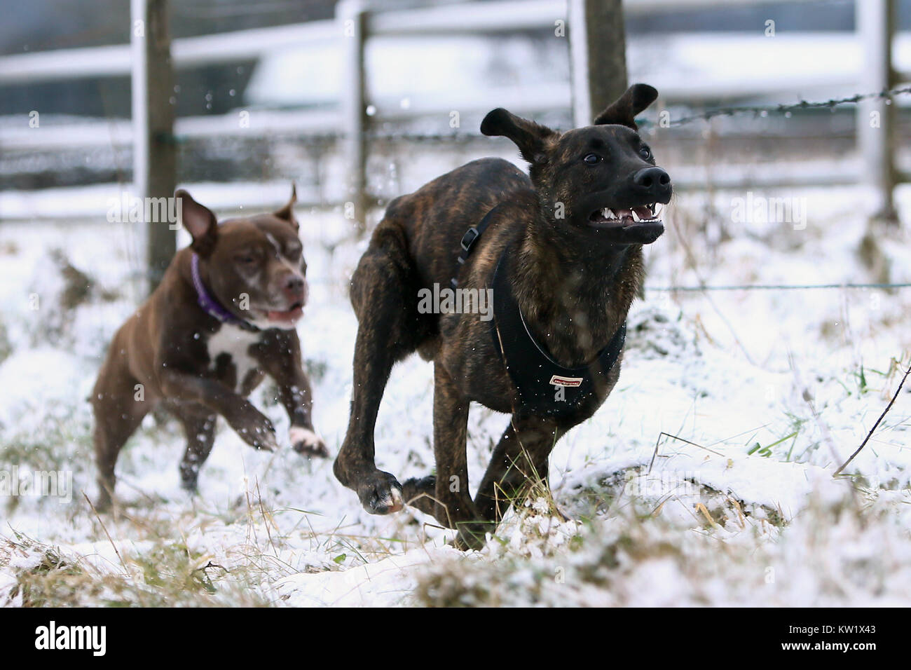 Winter snow scenes around Birch Vale, High Peak, UK Stock Photo Alamy