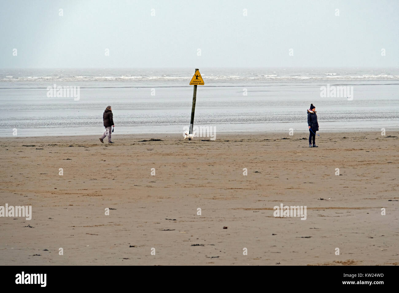 Weston-super-Mare, UK. 30th December, 2017. UK weather: Dog walkers brave the elements on the beach on a cold day which brought gale-force winds. Keith Ramsey/Alamy Live News Stock Photo