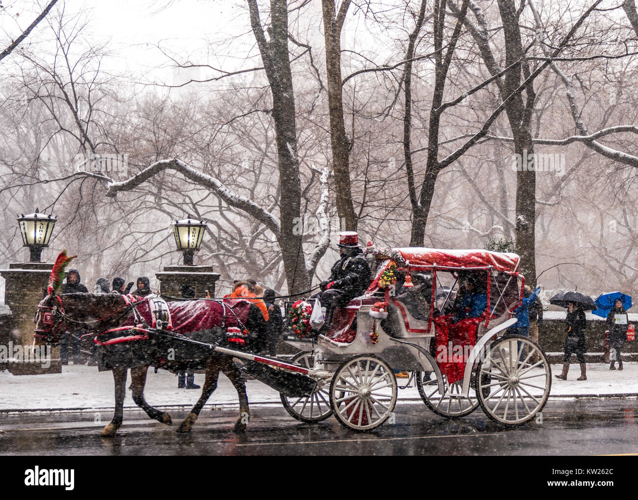 New york city central park carriages hi-res stock photography and ...