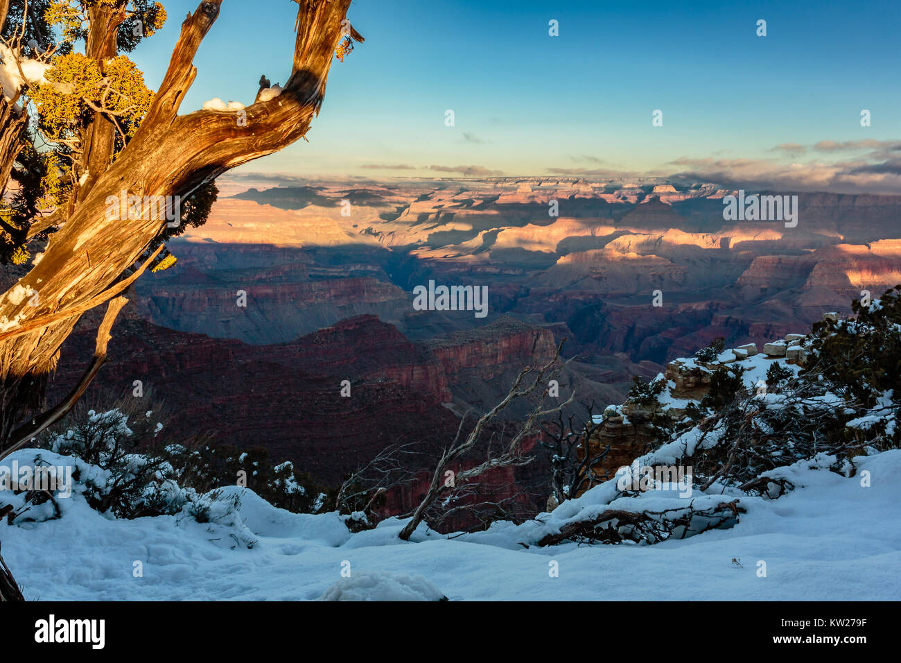 The Wintery rim of Moran Point looks out over the Grand Canyon at ...