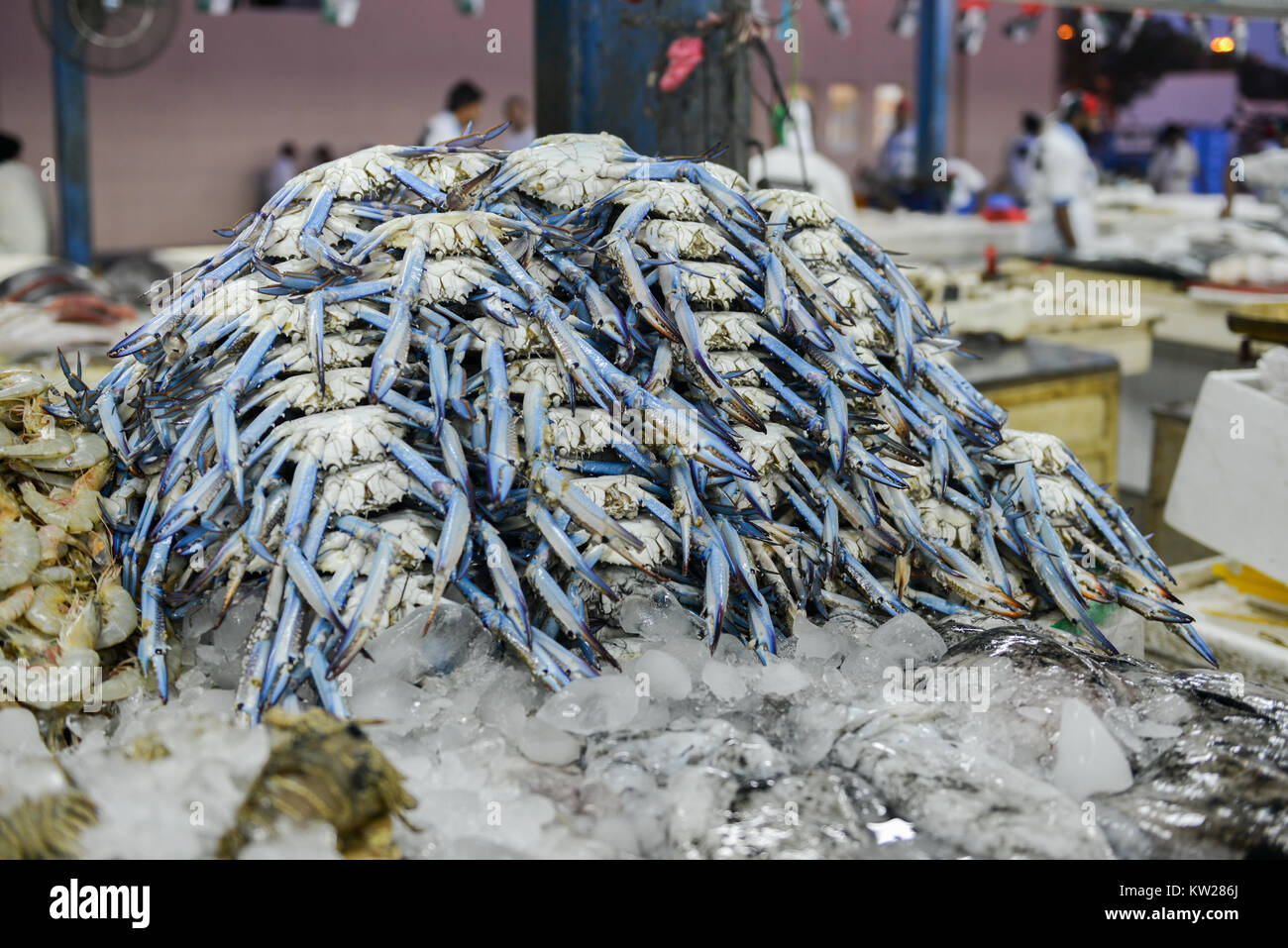 Fresh crab for sale at the Deira Fish Market in Dubai Stock Photo