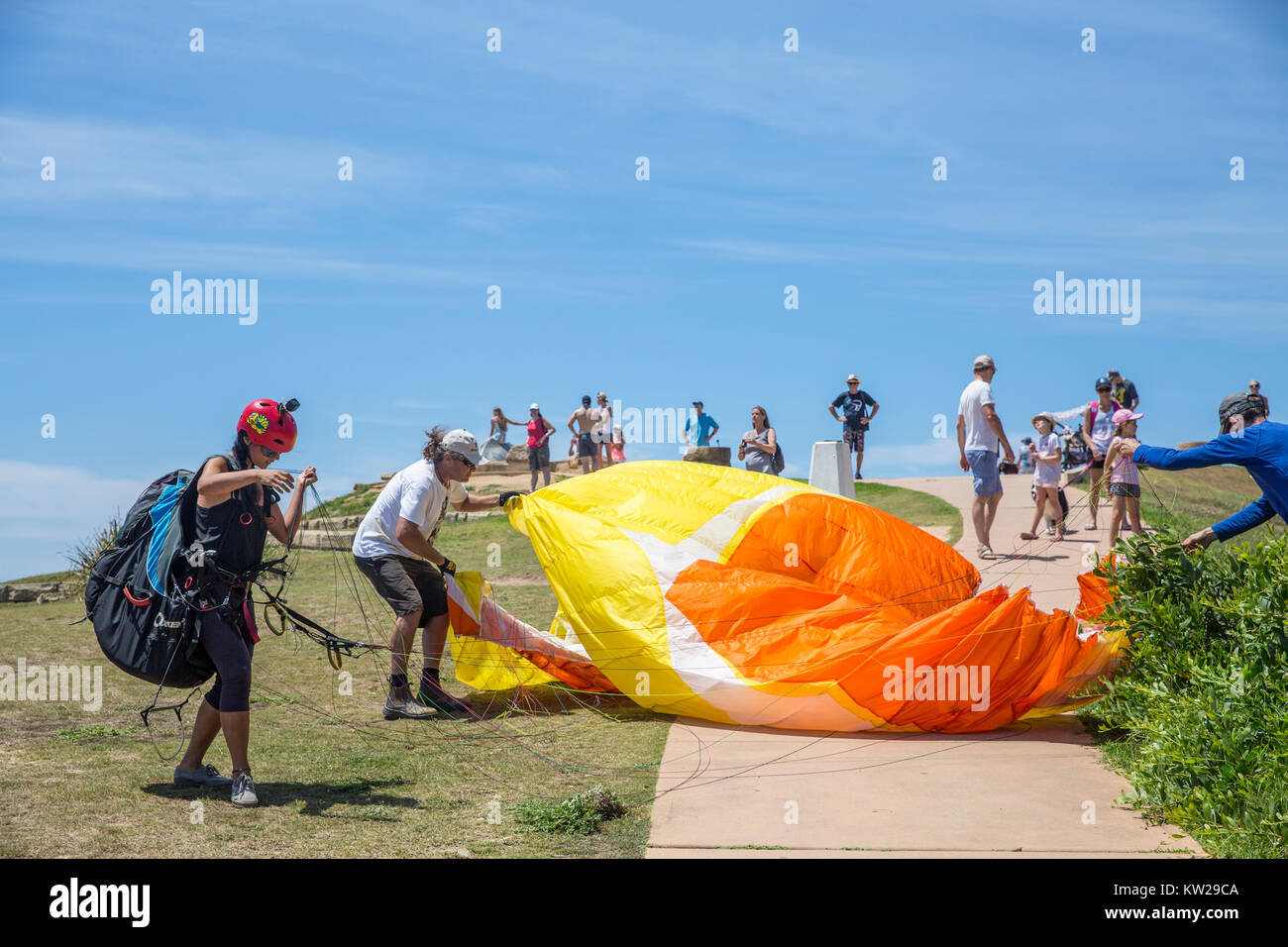 Female paragliding pilot with helpers recover her canopy from the bushes at Long Reef point,Sydney,Australia Stock Photo